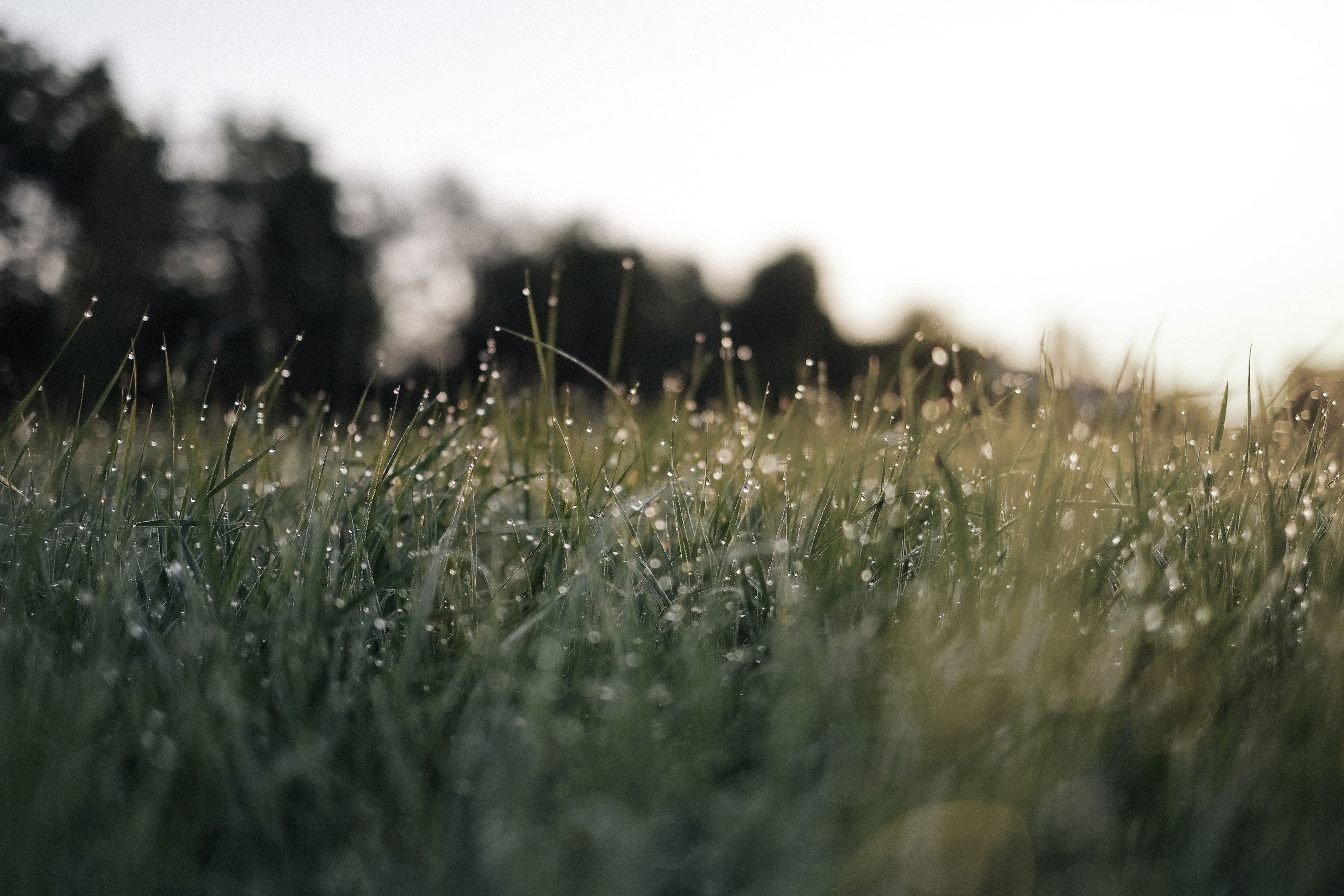 Meditaci&oacute;n matutina: m&aacute;s energ&iacute;a en solo 5 minutos