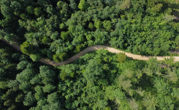 Reconecta con la naturaleza para reducir el estr&eacute;s, relajar la mente y mucho m&aacute;s
